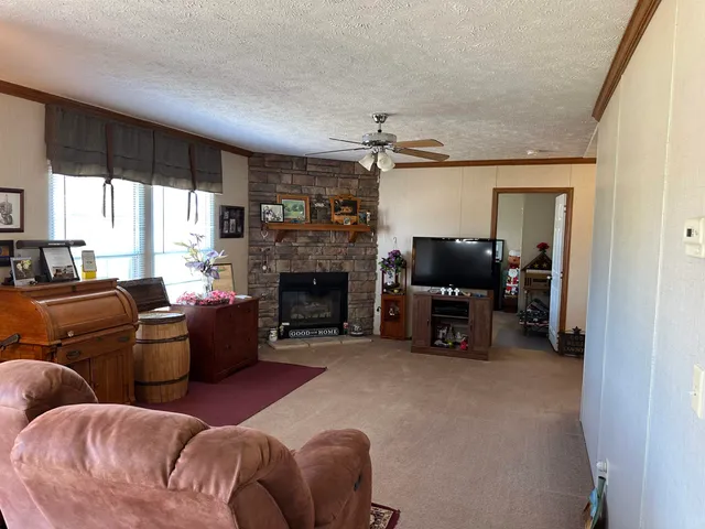 a living room with furniture and a fireplace