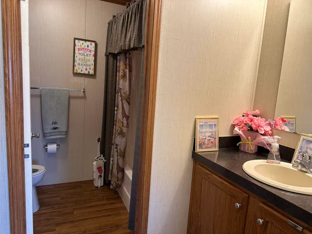 a bathroom with a sink vanity and a mirror