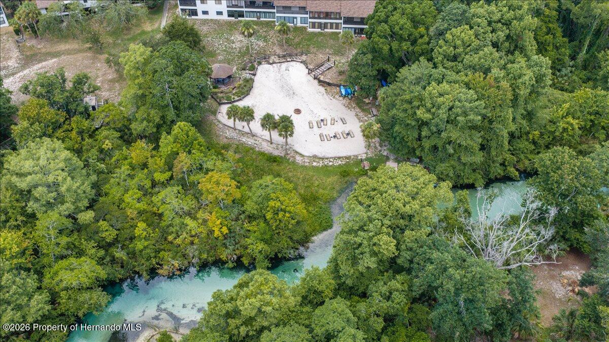 6653 River Run Boulevard Weeki Wachee, FL 34607 - Photo 5 of 55