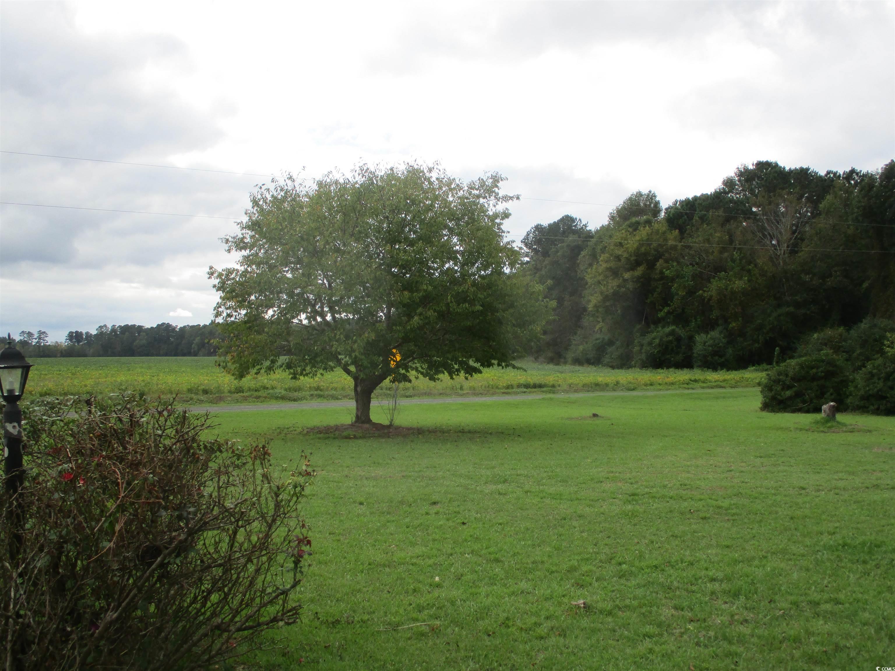 8110 Elvington Road Nichols, SC 29581 - Photo 4 of 17 View of community with a rural view and a yard