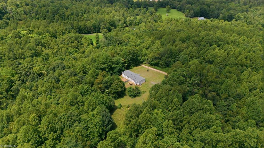 1200 Blue Ridge Lane Sandy Ridge, NC 27046 - Photo 42 of 44 Gallery Image 42