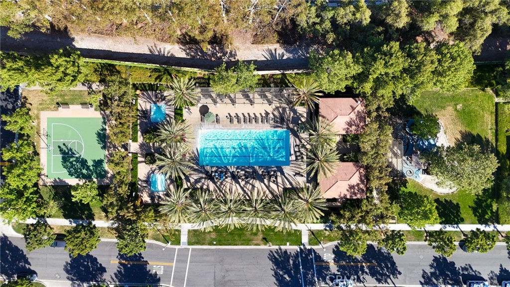 24 Lacebark, Unit 48 Irvine, CA 92618 - Photo 40 of 42 a view of a tree with a flower in a garden
