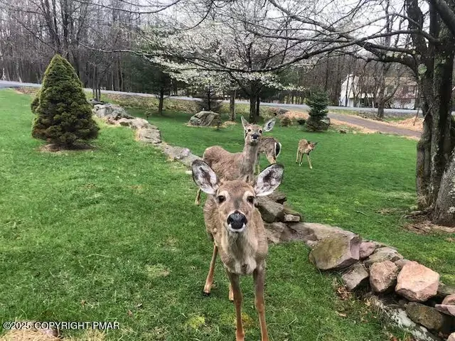 $550,000 | 147 Dogwood Terrace, Albrightsville, PA 18210