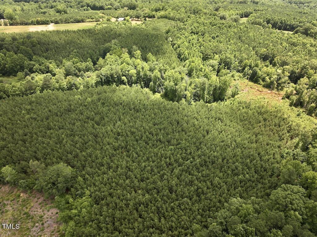 11 Peachtree Hills Road Spring Hope, NC 27882 - Photo 10 of 35 10