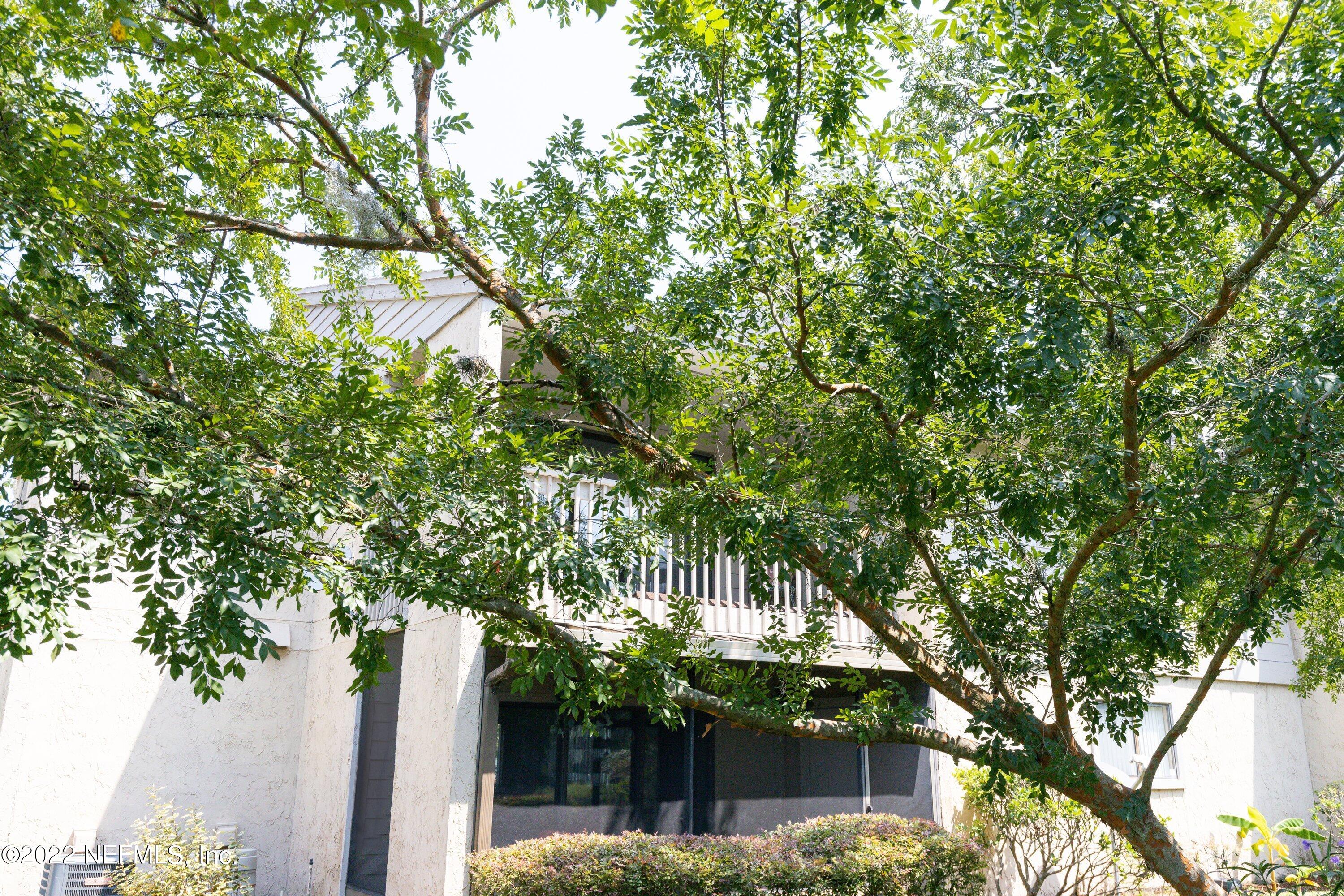 3801 Crown Point Road, Unit 2214 Jacksonville, FL 32257 - Photo 25 of 27 a house view with a tree in front of it