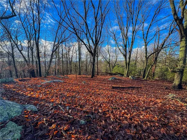 $59,900 | 338 Sierra Trace Road, Denton, NC 27239