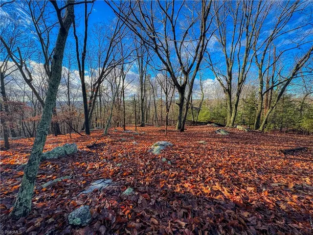 $59,900 | 338 Sierra Trace Road, Denton, NC 27239