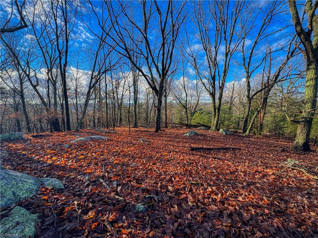 338 Sierra Trace Road Denton, NC 27239 - Photo 7 of 34