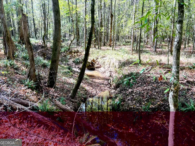 $77,900 | 744 Sunset Drive, Locust Grove, GA 30248