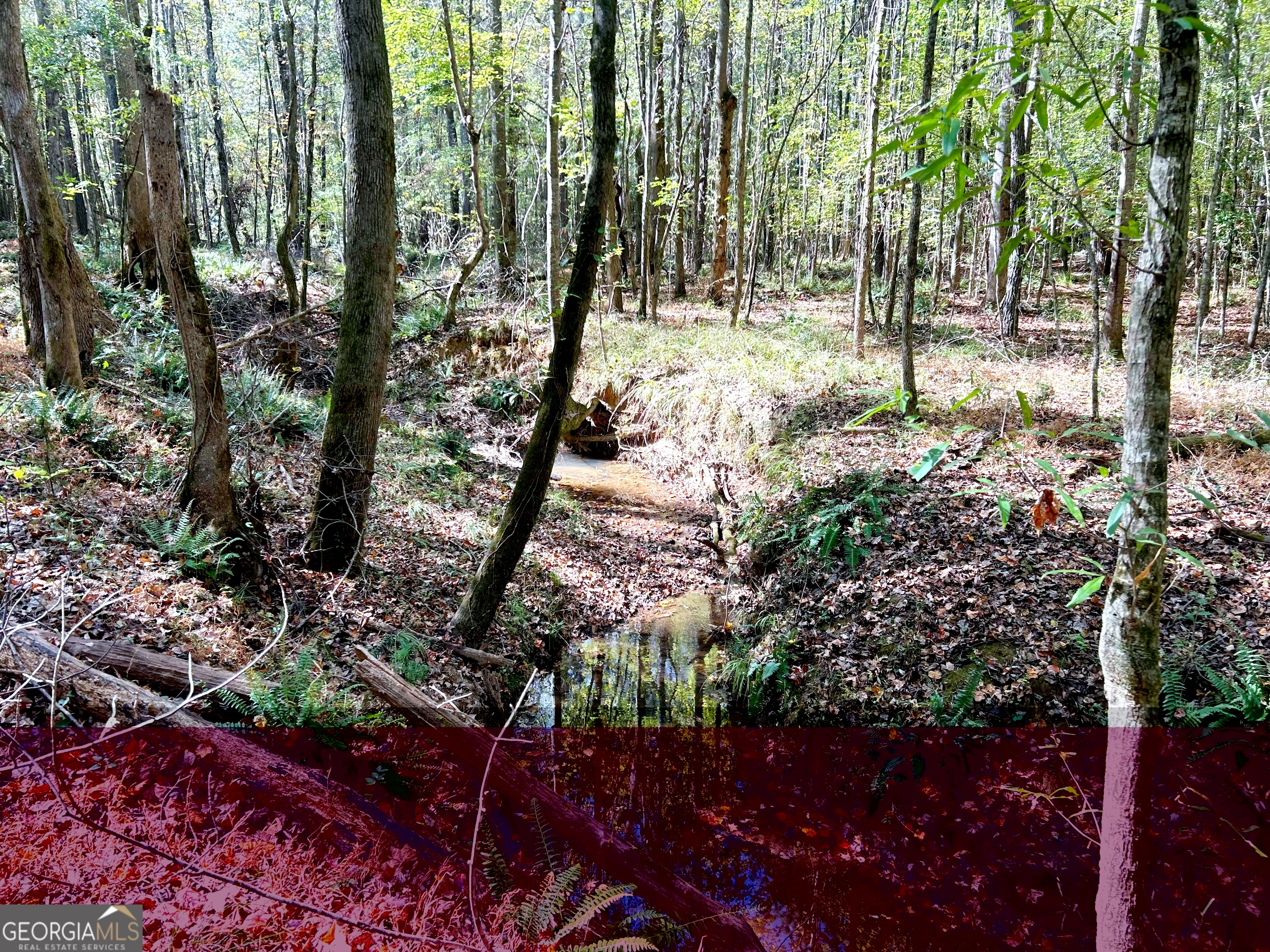 744 Sunset Drive Locust Grove, GA 30248 - Photo 4 of 4 a view of outdoor space and yard