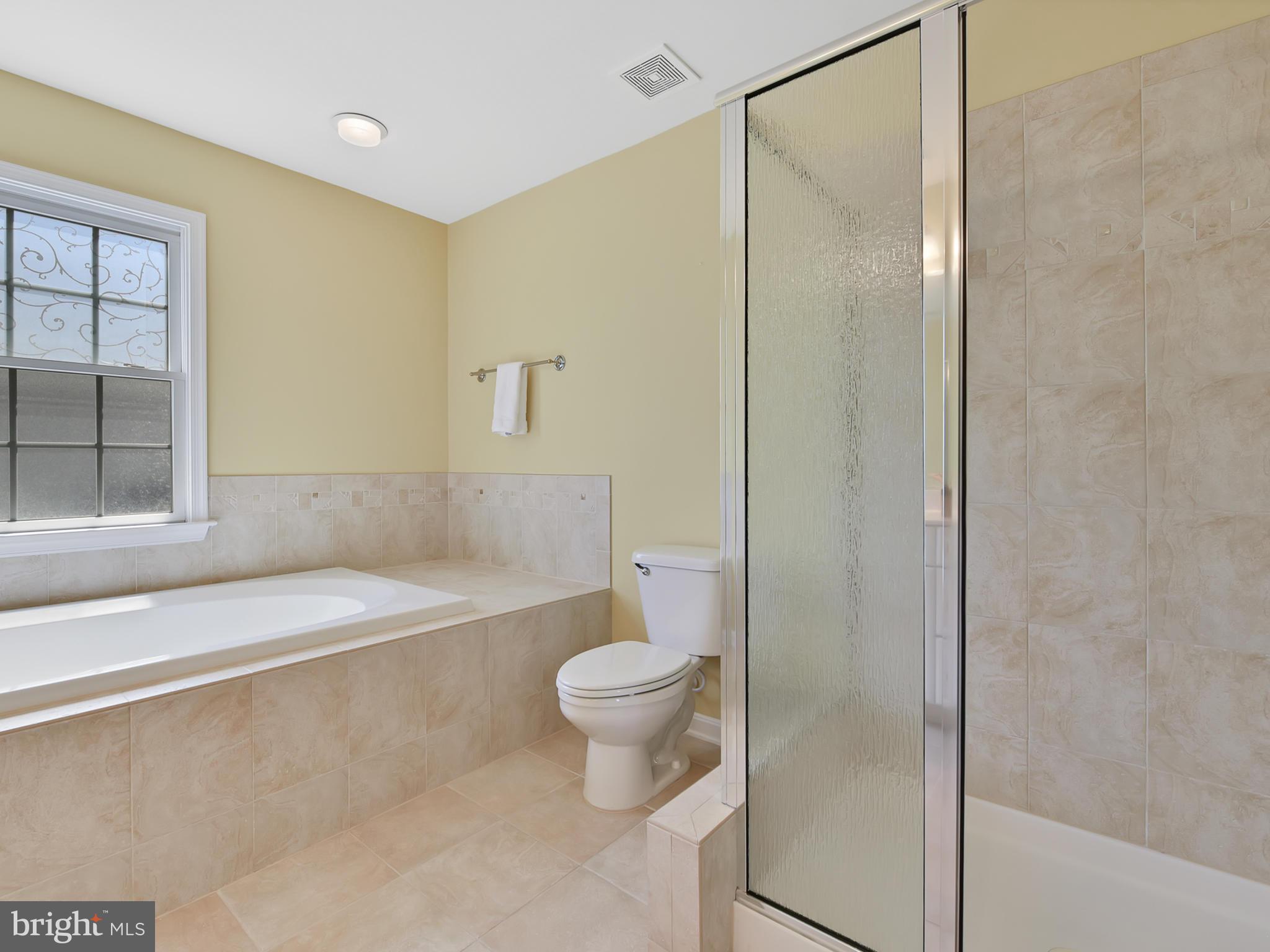 3931 Addison Woods Road Frederick, MD 21704 - Photo 21 of 65 Master bathroom.