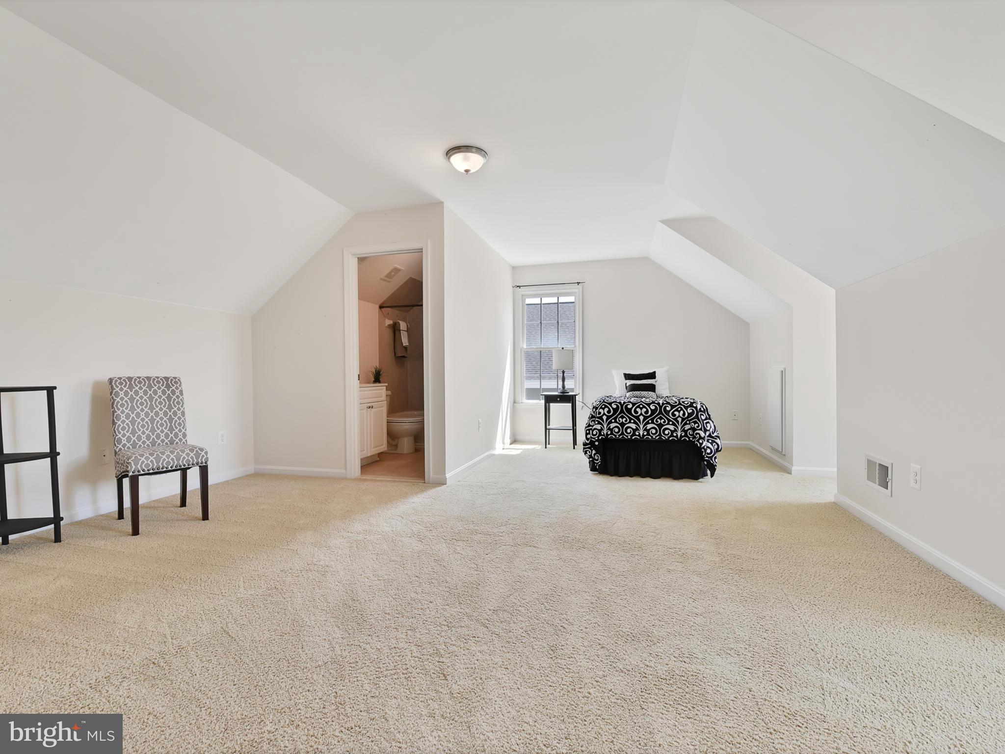 3931 Addison Woods Road Frederick, MD 21704 - Photo 28 of 65 Bonus light-filled 4th level w/2 skylights!
