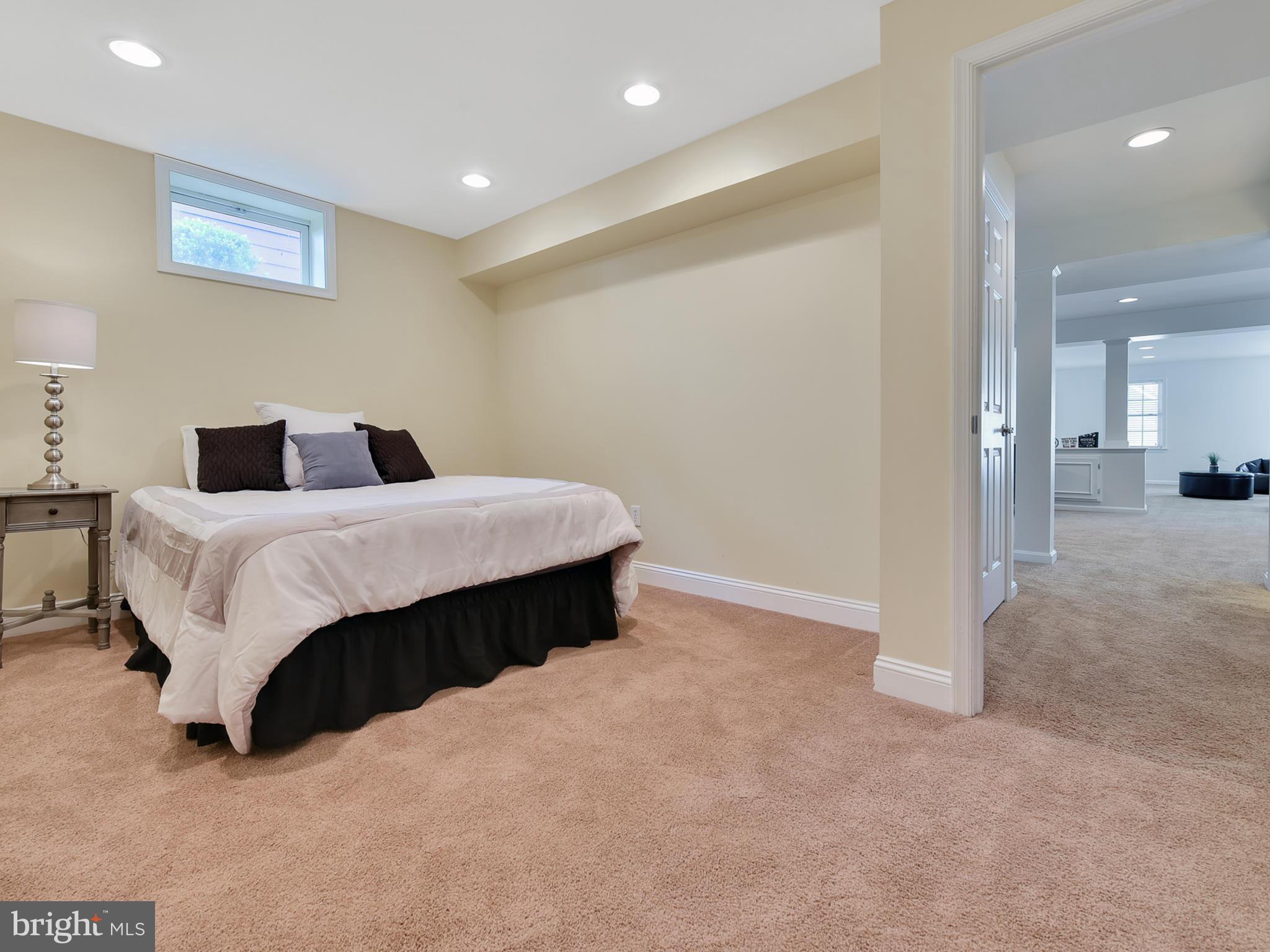 3931 Addison Woods Road Frederick, MD 21704 - Photo 37 of 65 Lower bonus rm: guest bedrm, crafts or wk out room
