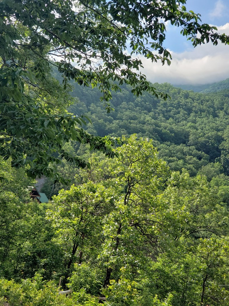 0 Trapper John Way Sevierville, TN 37862 - Photo 18 of 18