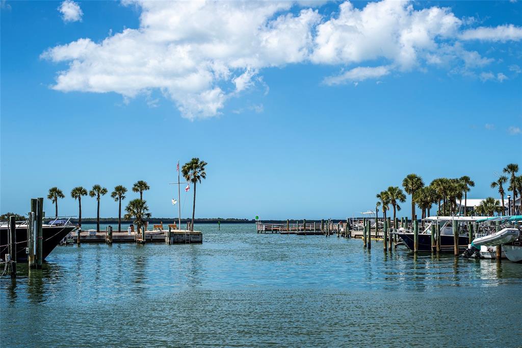 620 Edgewater Drive, Unit 103 Dunedin, FL 34698 - Photo 26 of 26 a view of a lake