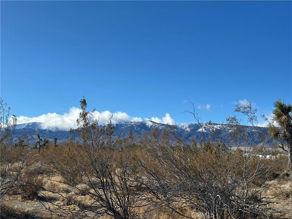 12650 Wintergreen Road Pinon Hills, CA 92372 - Photo 1 of 1 Gallery Image 1