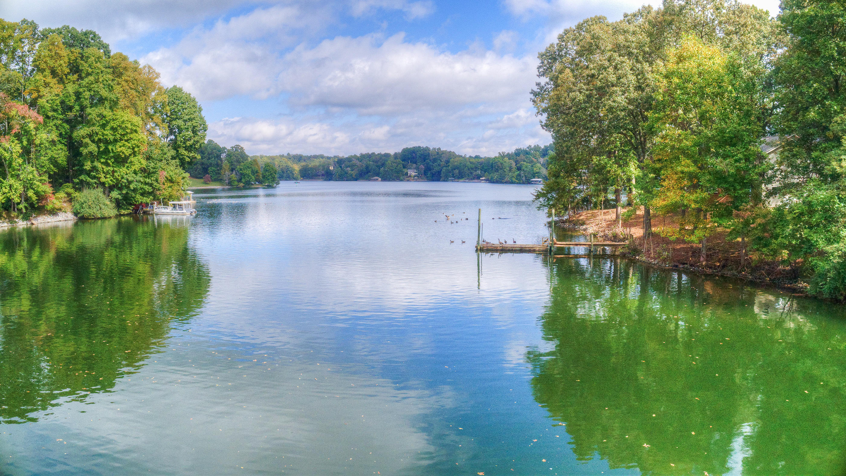 87 Island Road Hardy, VA 24101 - Photo 49 of 52 DJI_0022