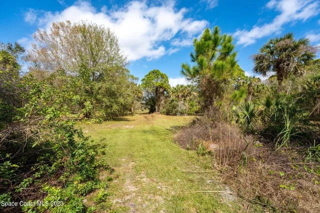 a view of backyard with tree