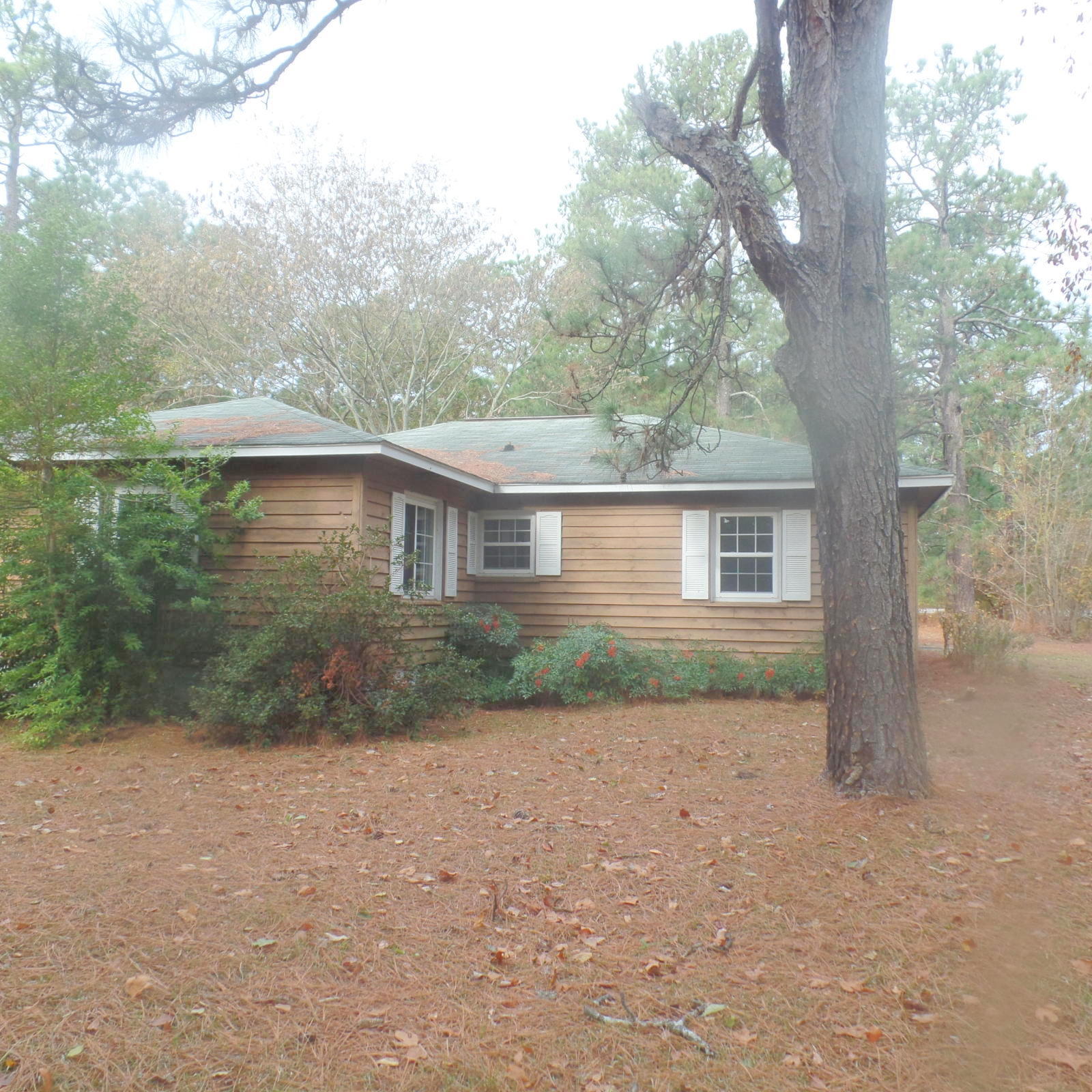 2185 Foxfire Road Jackson Springs, NC 27281 - Photo 20 of 24 Front 2