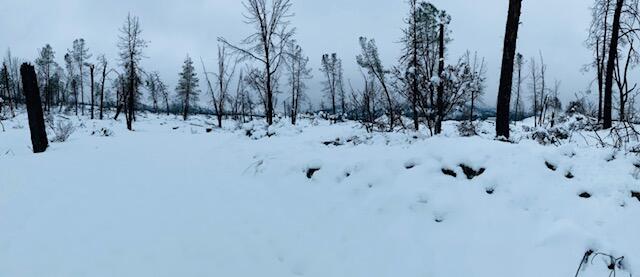 6950 Placer Road Igo, CA 96047 - Photo 15 of 25 a view of white house with a snow in the background