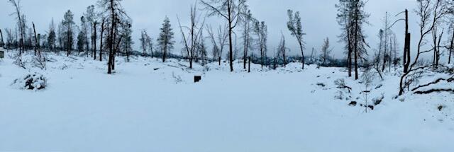 6950 Placer Road Igo, CA 96047 - Photo 16 of 25 a view of a snow with trees in the background