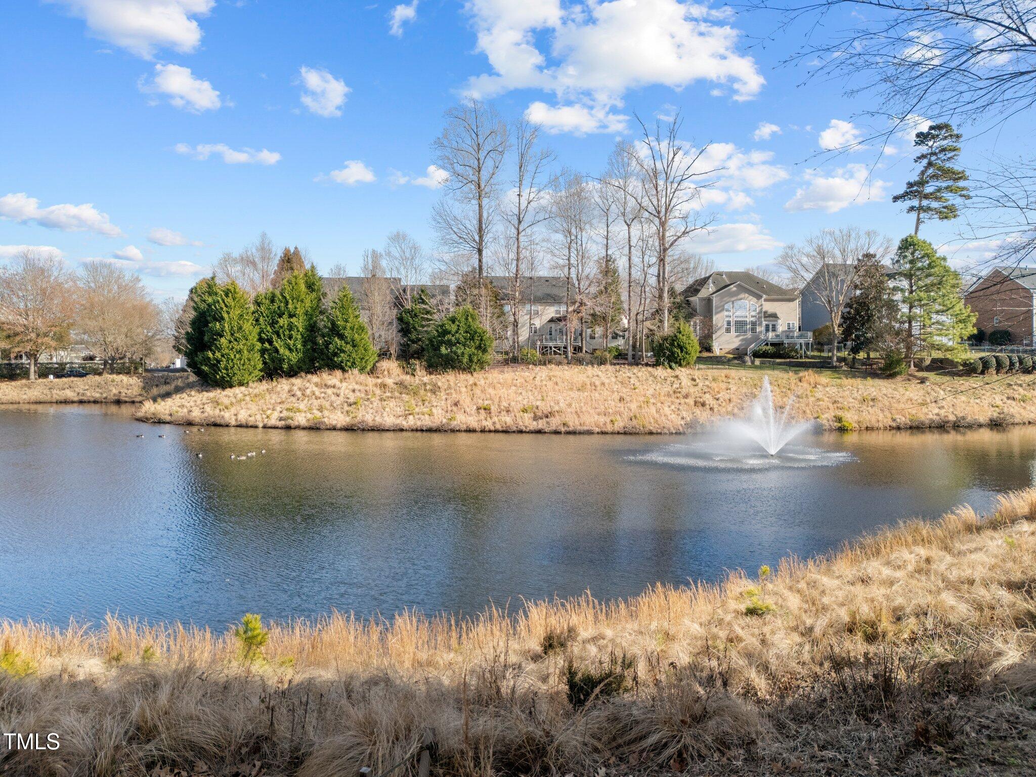2260 Dunlin Lane Raleigh, NC 27614 - Photo 41 of 49 50-web-or-mls-DJI_20250203150048_0011_D