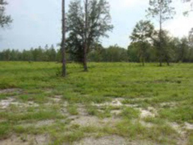 50 Cameron Road Jesup, GA 31545 - Photo 1 of 1 Gallery Image 1