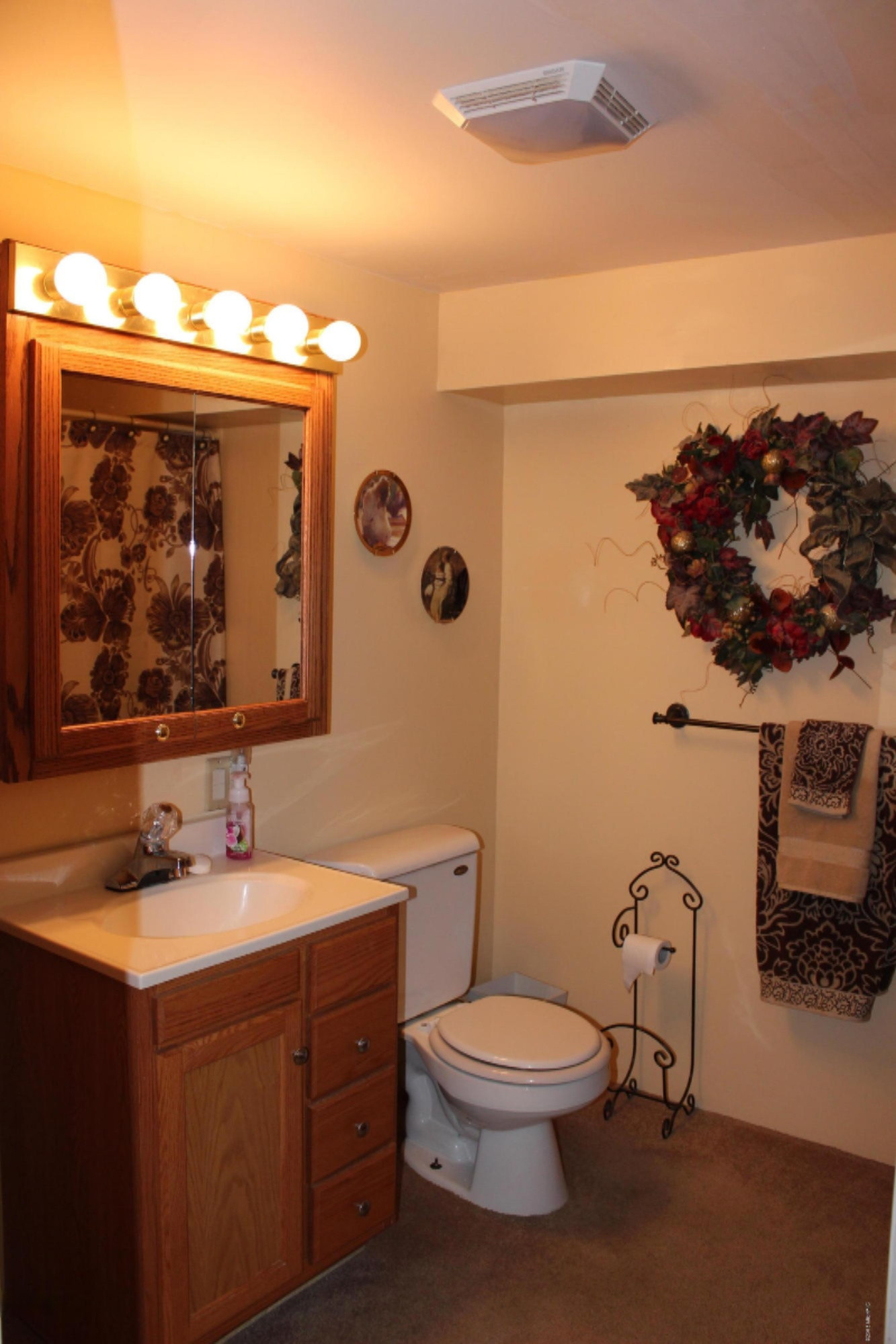 14100 Fedore Road Buchanan, MI 49107 - Photo 22 of 28 Basement Bath