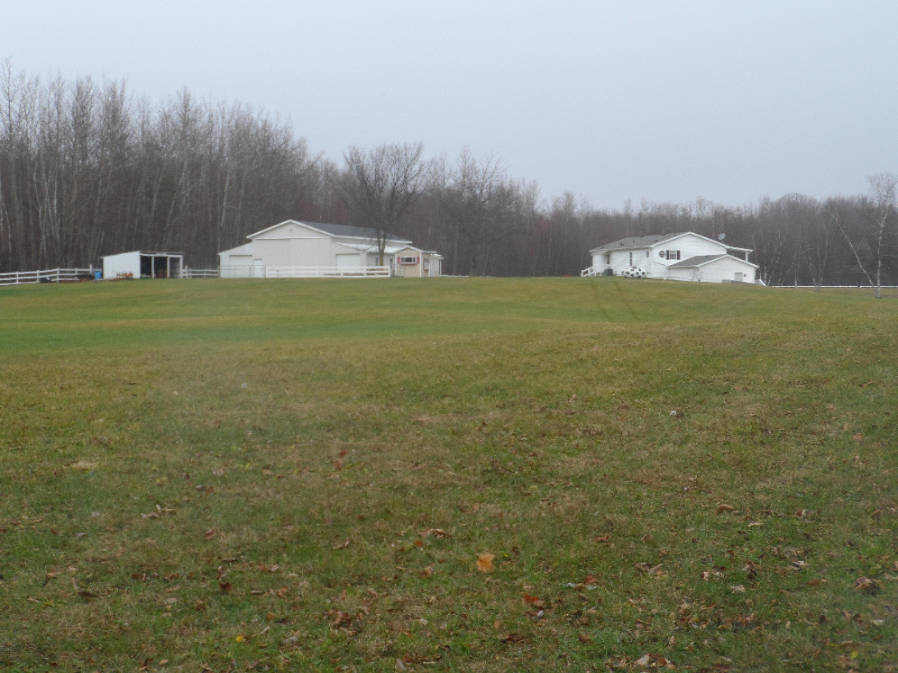 14100 Fedore Road Buchanan, MI 49107 - Photo 24 of 28 Yard