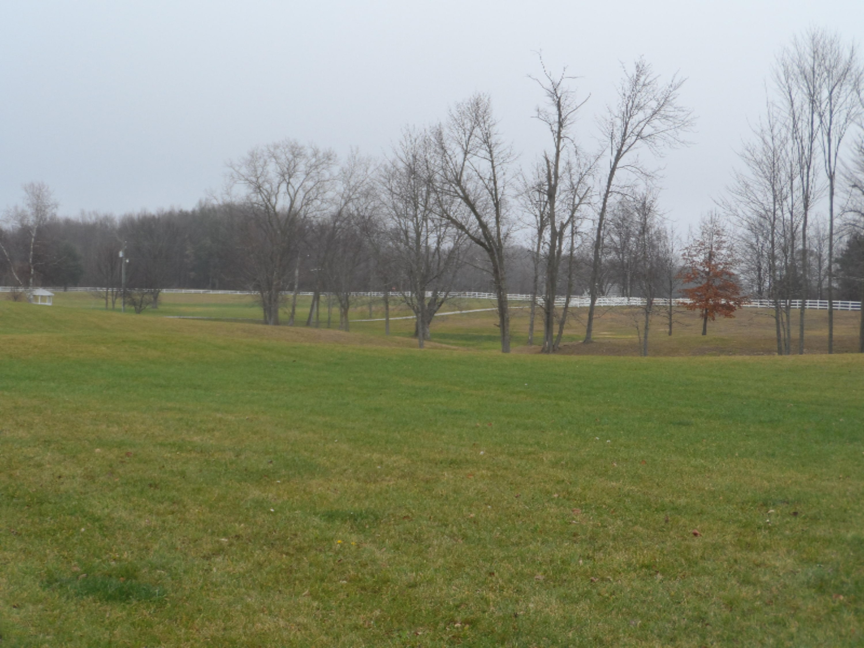 14100 Fedore Road Buchanan, MI 49107 - Photo 25 of 28 Side Yard