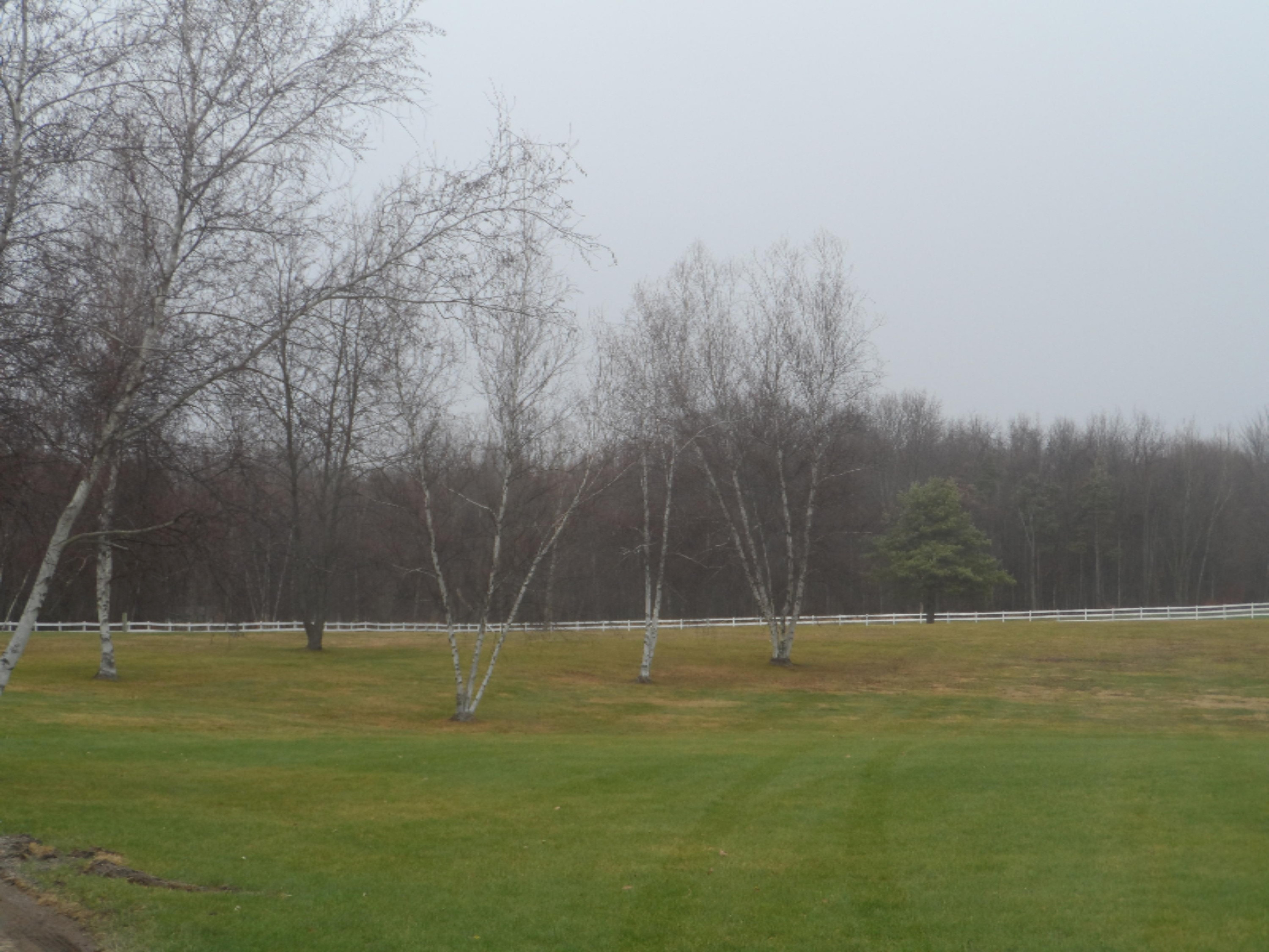 14100 Fedore Road Buchanan, MI 49107 - Photo 26 of 28 yard