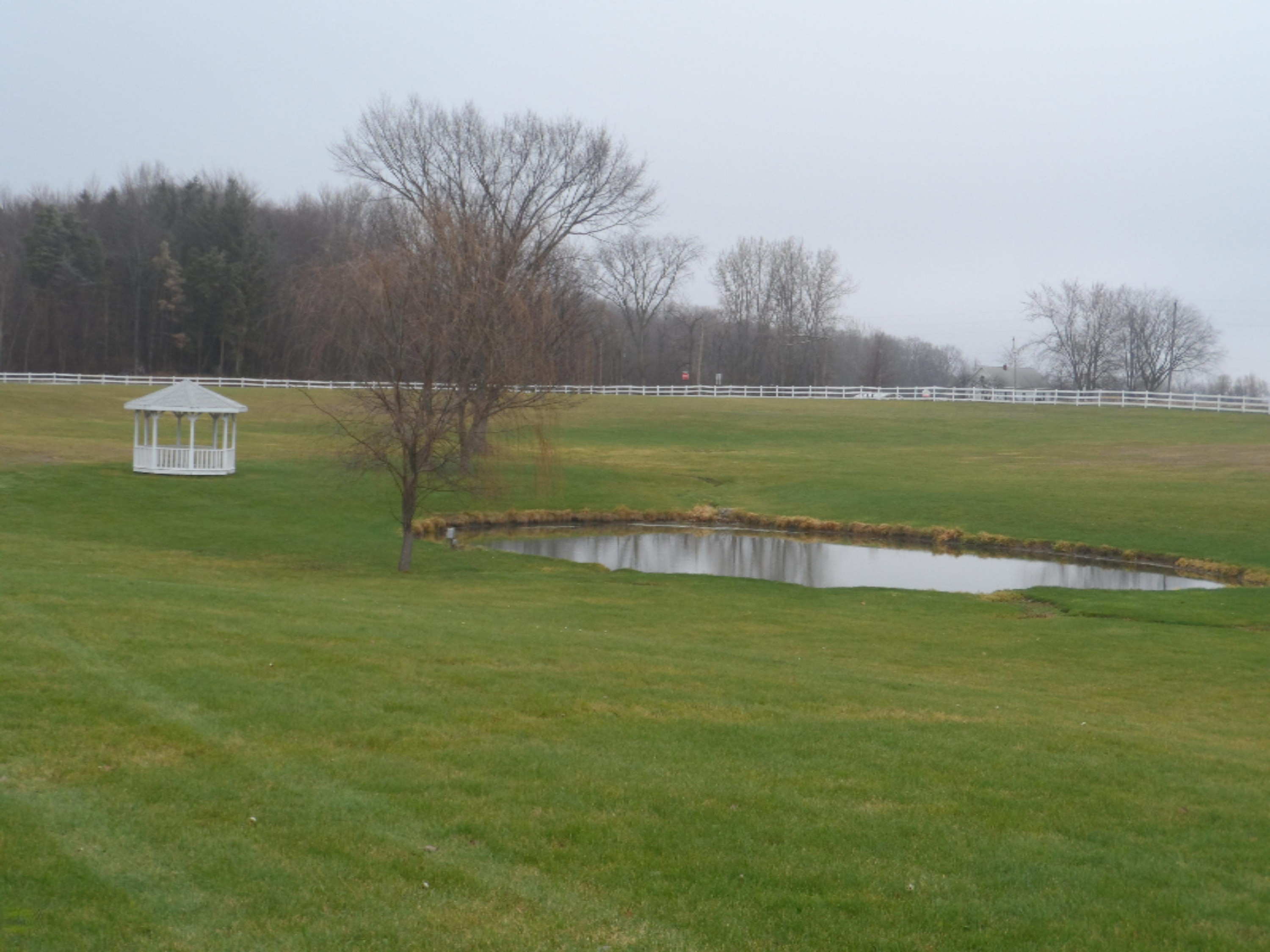 14100 Fedore Road Buchanan, MI 49107 - Photo 3 of 28 Pond