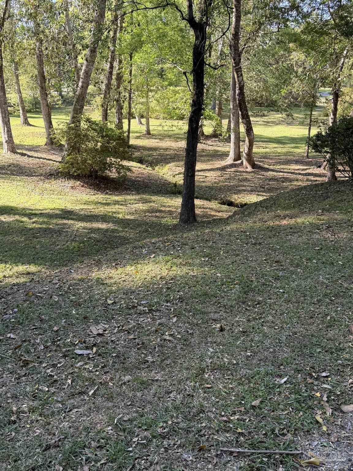 5516 Molino Road Molino, FL 32577 - Photo 61 of 66