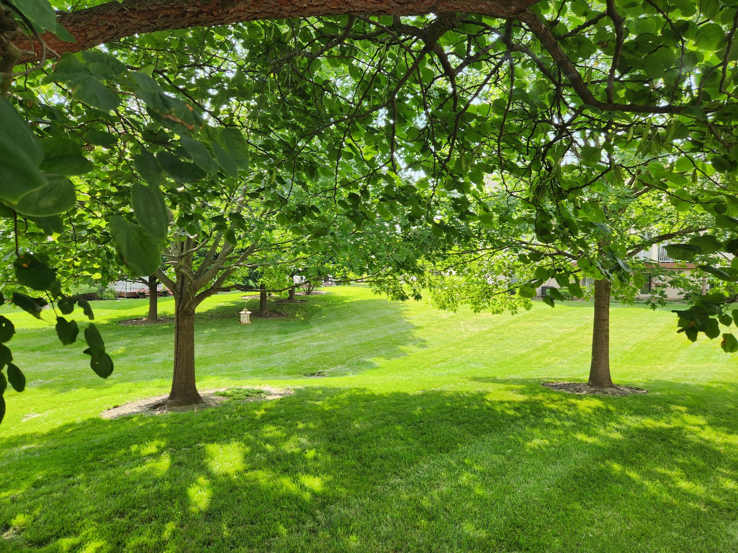 982 Oak Ridge Boulevard Elgin, IL 60120 - Photo 25 of 27 a view of an outdoor space