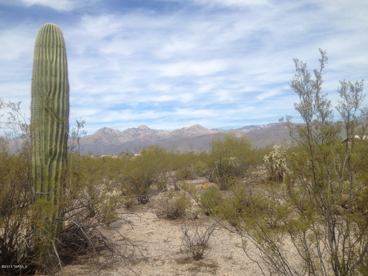 10101 East Kleindale Road, Unit APPROX Tucson, AZ 85749 - Photo 1 of 8