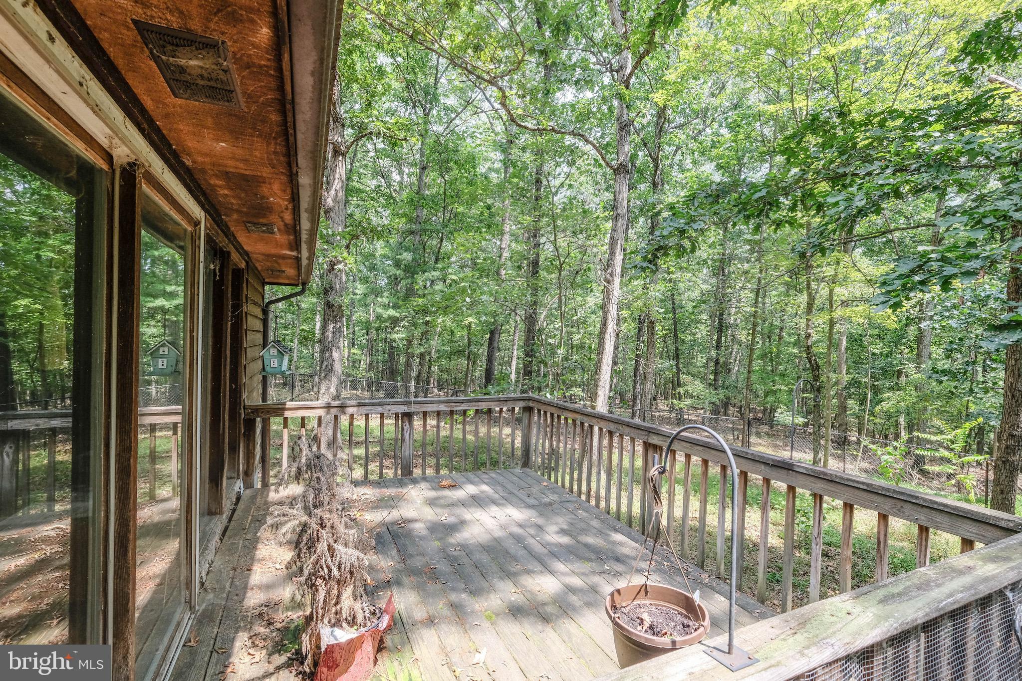 428 Ebenezer Church Road Gore, VA 22637 - Photo 3 of 40