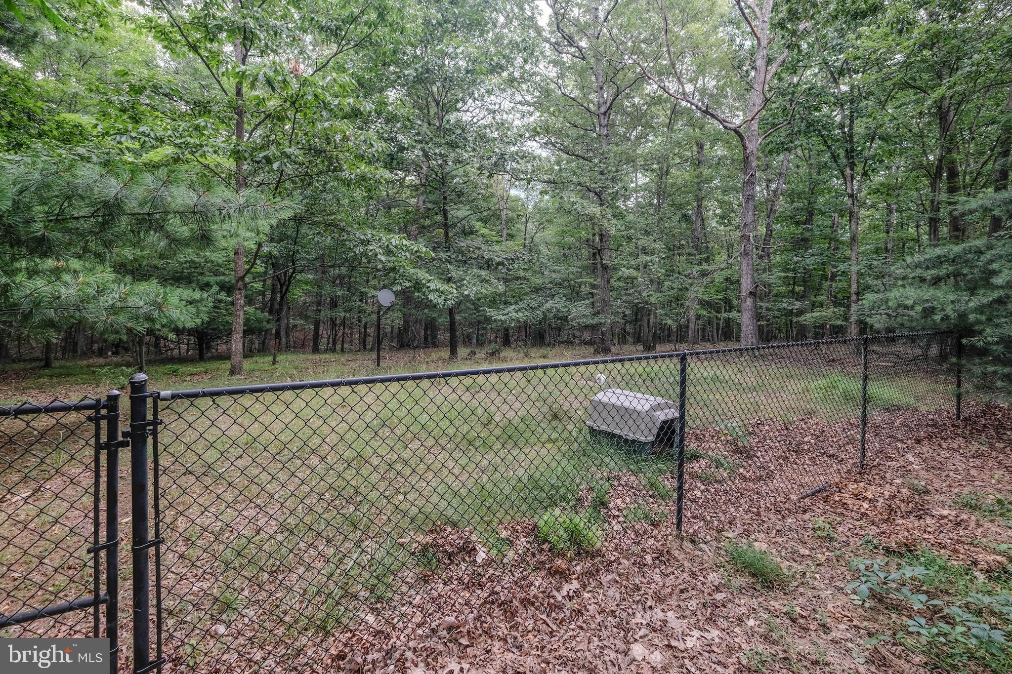 428 Ebenezer Church Road Gore, VA 22637 - Photo 4 of 40
