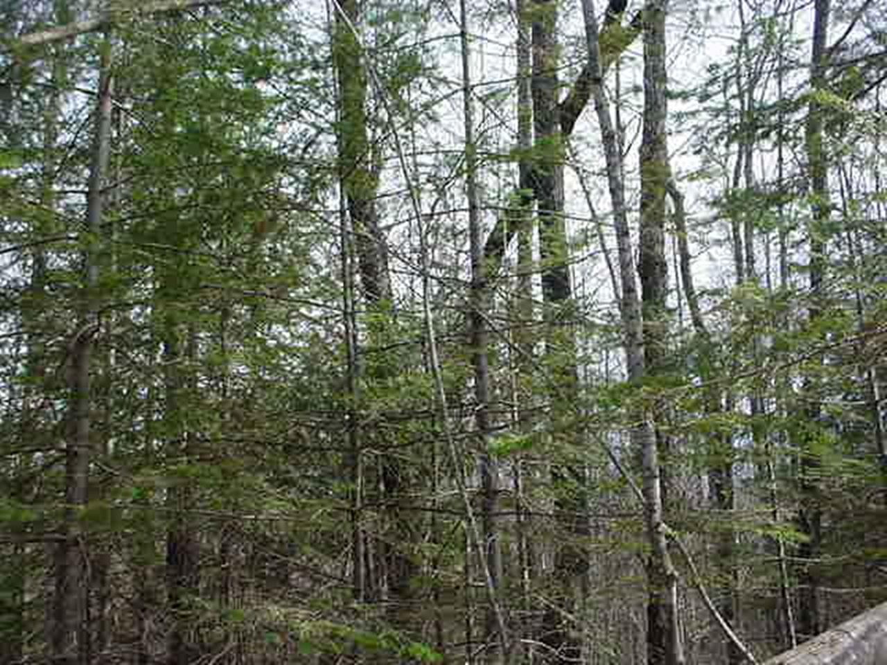 Off Flowage Road, Unit PARCEL C Hurley, WI 54534 - Photo 7 of 11 Gallery Image 7