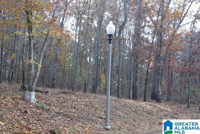 Peyton Place, Unit 3 Weaver, AL 36277 - Photo 31 of 40