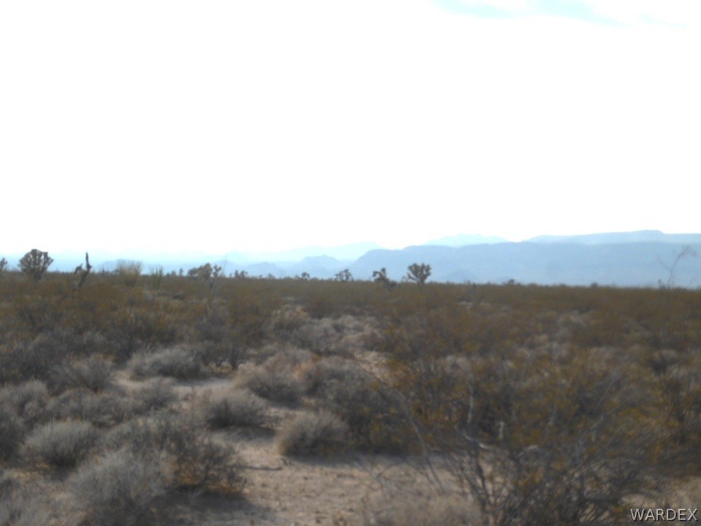 14225 Jenny Road Yucca, AZ 86438 - Photo 3 of 6 Gallery Image 3