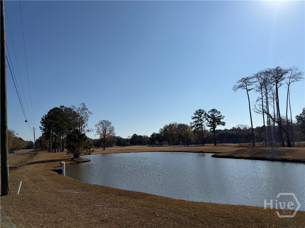 150 Maple Drive Ellabell, GA 31308 - Photo 16 of 42 Nearby Black Creek Golf Course