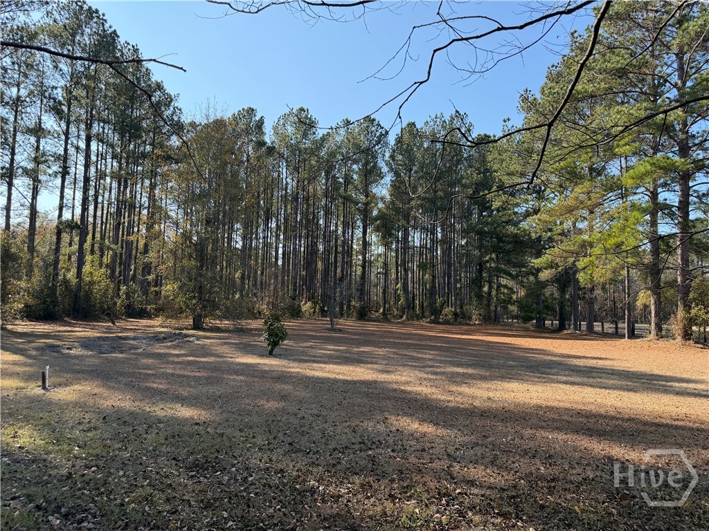 150 Maple Drive Ellabell, GA 31308 - Photo 41 of 42 Back Yard