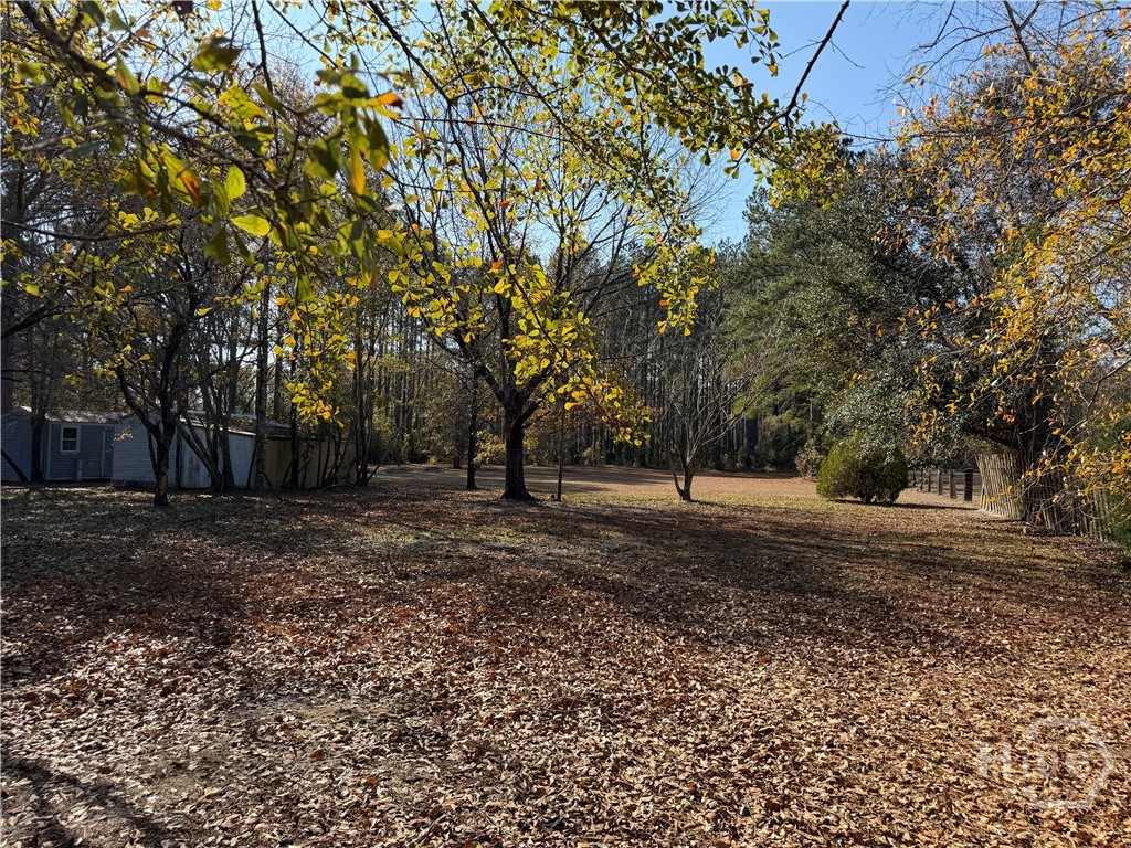 150 Maple Drive Ellabell, GA 31308 - Photo 7 of 42 Back Yard & 2 Utility / Workshop Storage Buildings