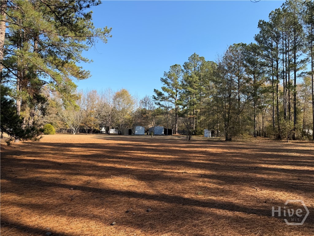 150 Maple Drive Ellabell, GA 31308 - Photo 8 of 42 Back Yard & 2 Utility / Workshop Storage Buildings