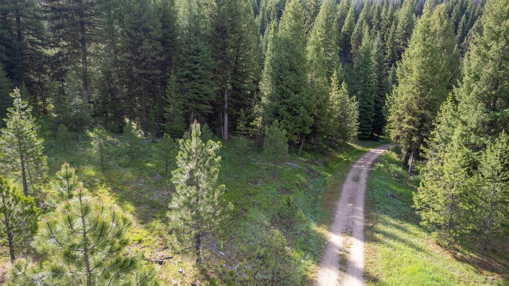 42 Clear Creek Road Cascade, ID 83611 - Photo 7 of 8