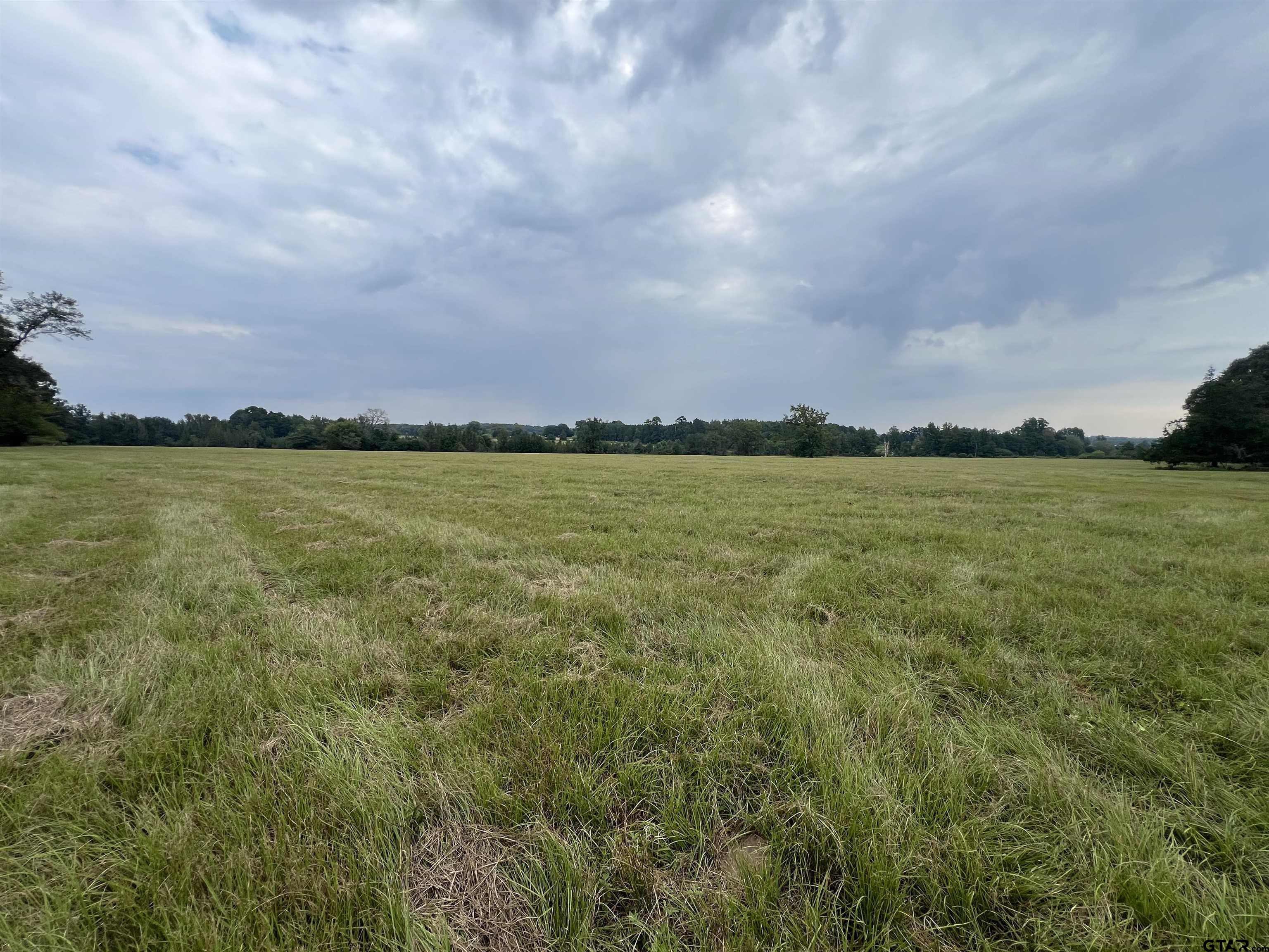 250 N Naples, TX 75568 - Photo 1 of 13