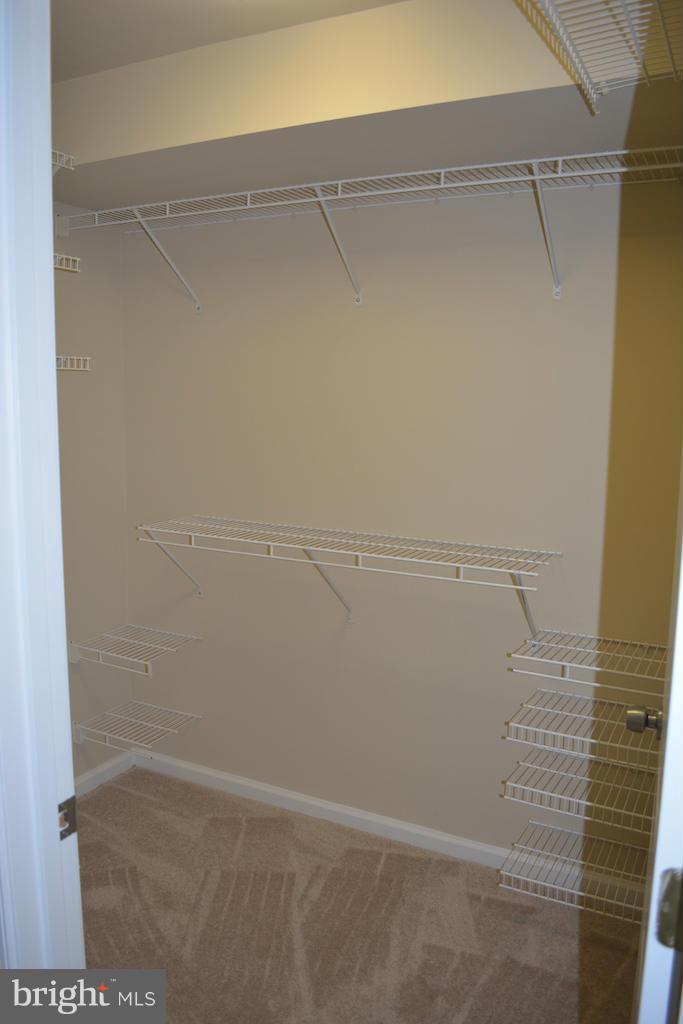 10101 Ridge Manor Terrace, Unit 2000H Damascus, MD 20872 - Photo 14 of 17 Bedroom (Master)