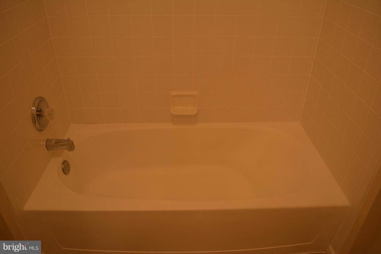 10101 Ridge Manor Terrace, Unit 2000H Damascus, MD 20872 - Photo 16 of 17 Bath (Master)