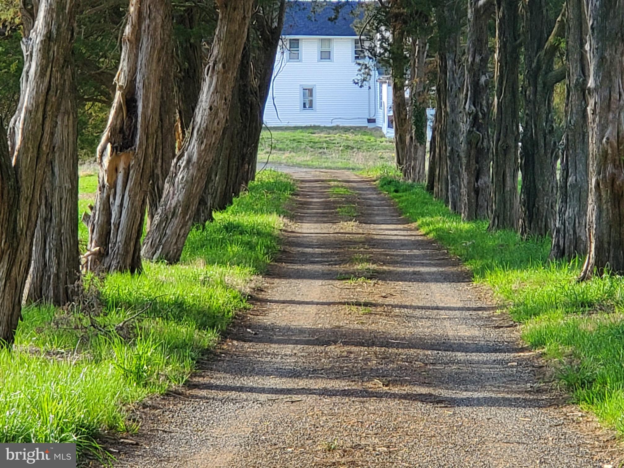 6020 River Road Bryans Road, MD 20616 - Photo 4 of 5