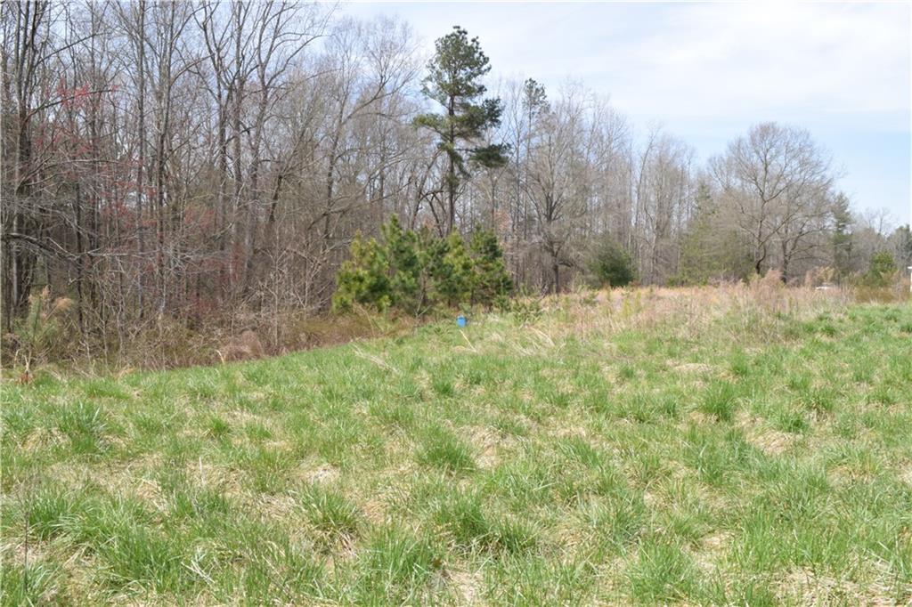 3500 Crouse School Road Crouse, NC 28033 - Photo 14 of 26 Gallery Image 14